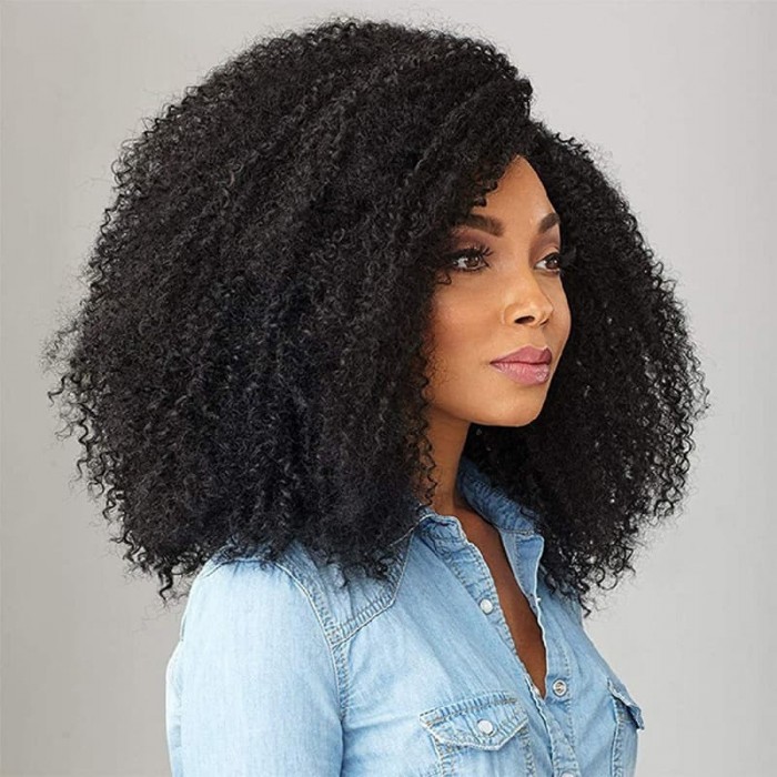 Incolorwig Short Curly Afro Wigs Glueless Human Hair Wigs 200% Density Remy Hair African American Wigs