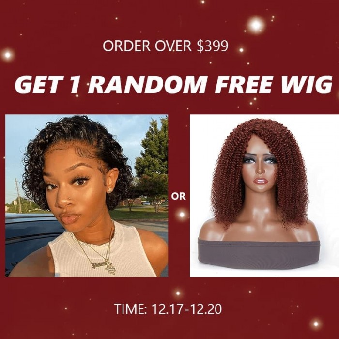 Christmas Free Wig - Order Over $399 Can Get A Free Lace Wig （Random Styles）
