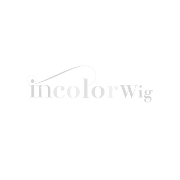 Incolorwig 150% Density Lace Parting Wig Middle Part Human Hair Wig 13*4 Lace Frontal Straight Hair Wig Natural Black Wig